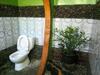 Agroturismo Lucky Bamboo