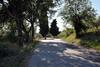 Apartamento Appartamento Di Campagna