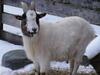 Agroturismo N�glhof