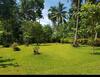 Bed & Breakfast Paco's Garden Home Stay
