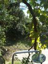 Full Of Sea House- Villa Christos