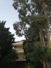 Villa Mary's Land