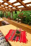 Hostal Pensiunea Aurora Albac