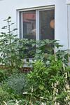 Apartamento Postaja 33