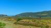 Narnia On Thesen Island