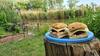 Rum Bridge 'hazels' Pet Friendly Glamping Pod
