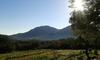 Agroturismo Fattoria Nuraghe Murtarba