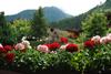 Bed & Breakfast G�stehaus Pirker