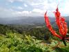 Posada Aurora Village Inn Haputale Srilanka-