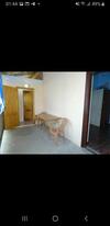 Hostal Guest House U Svety