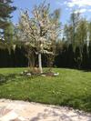 Apartamento Pension Hadanig