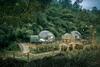Hotel Anantara Golden Triangle Elephant Camp & Resort