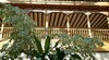 Azz Pe�afiel Las Claras Hotel & Spa
