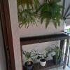 Apartamento Aconchegante