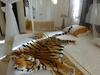 Bed & Breakfast Le Clos Des Papillons