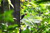 La Mello Adventure Lodge