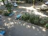 Apartamento ???????? ??????????????, 105