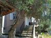 Ammolofoi Country Villa. 80 Steps From The Beach