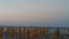 Casamare Mondello