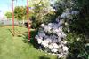 Bed & Breakfast Skibo House B&amp;b