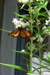 Garden View Bed & Breakfast Rolleston