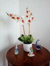 Apartamento The Holiday Family