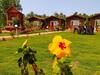 Hotel Livingstone Arambol Water Resort