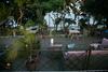 Hotel Cwezi By The Lake