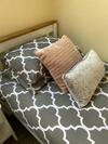 Bed & Breakfast The Ashton Mews
