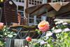 Hostal Hotel Adler B�rental