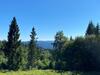 Apartm�n Meluz�na