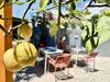 Hostal Charm Of The Algarve