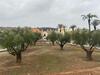 Villas Rurales Arroyovil 28 Ideal Familias
