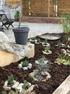 Apartment Schr�der