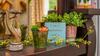 Apartamento The Bohemian Suite - Urban Boho ?self Check-in ?kitchen ?downtown ?netflix+