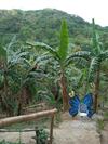 Agroturismo Camping Paradise And Singalong Mountain Garden