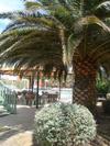 Hotel Tropic