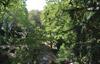 Holiday Home Poullaouen 51