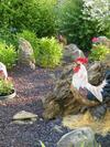 Bed & Breakfast La Rotonde 77