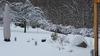 Bed & Breakfast Le Clos Des Aulnes