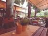 Hotel Gasthaus Papen �nne