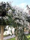 Bed & Breakfast La Chenaie