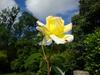 Bed & Breakfast Domaine De La Dame De Lauri�re