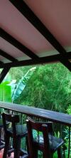 Finca Panaca Jag�ey 12 Vip Group - Villas For Rent In