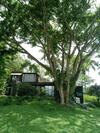 Nirvana Bed And Breakfast Eco Villa In Cerritos