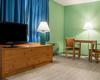 Hotel Econo Lodge South Buffalo