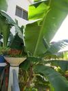 Hostal Chambres D�hotes La Romana