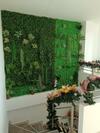 Hotel Dorado Villa Real Hdvr