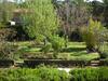 Hotel H�tel Les Palmiers