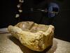 Bed & Breakfast Une Escale � Pornic